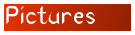 Pictures